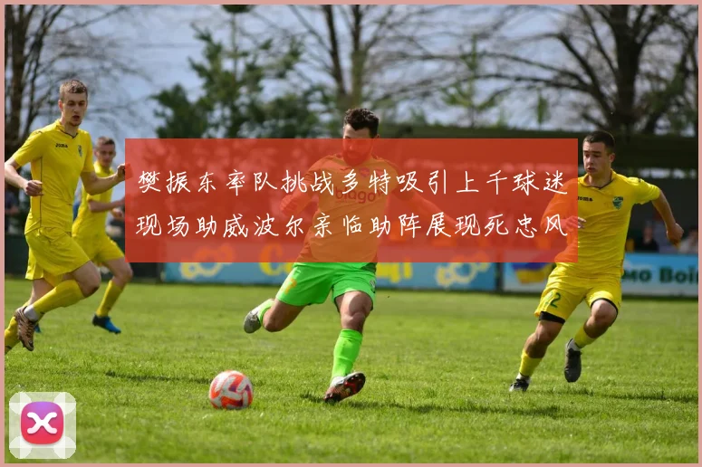 樊振东率队挑战多特吸引上千球迷现场助威波尔亲临助阵展现死忠风采